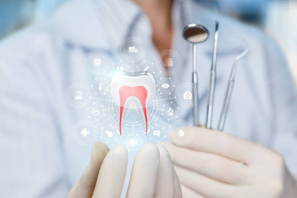 Best Full Mouth Reconstruction  in Montgomery, IN